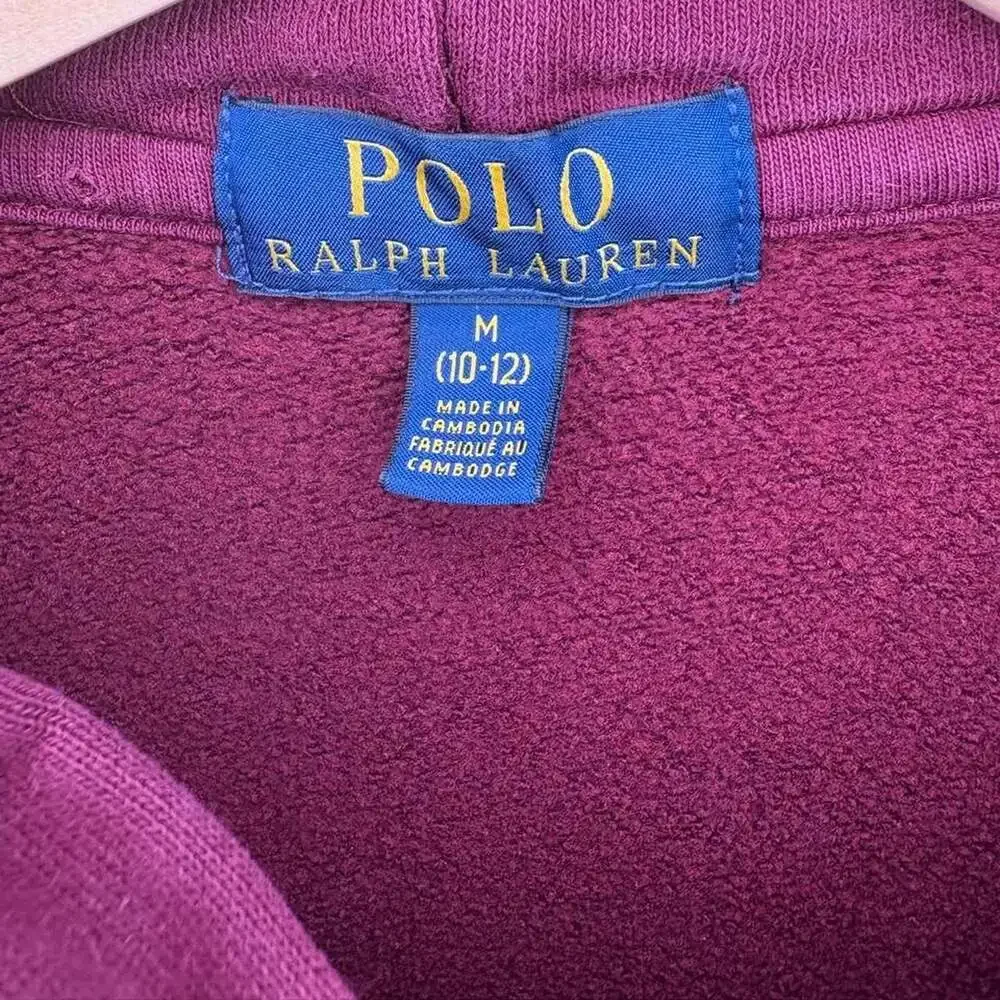 Polo Ralph Lauren Kids Burgundy Logo Graphic Hoodie